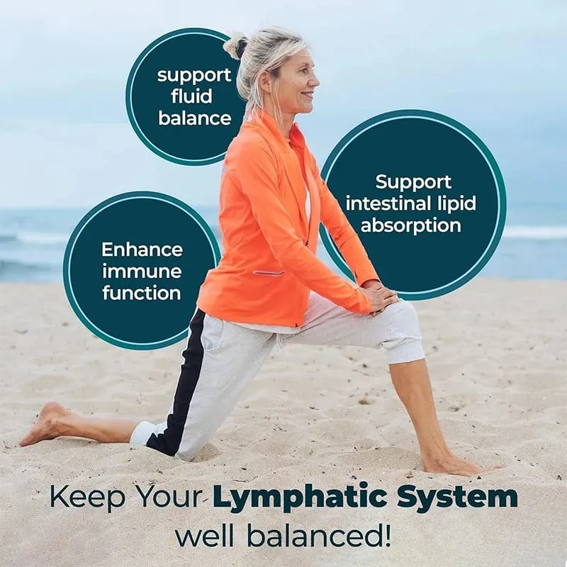 Lymphatic Drainage Supplement - Contains Dandelion Extract Intestinal Lipid Absorption Improves Immunity Relieves Swelling