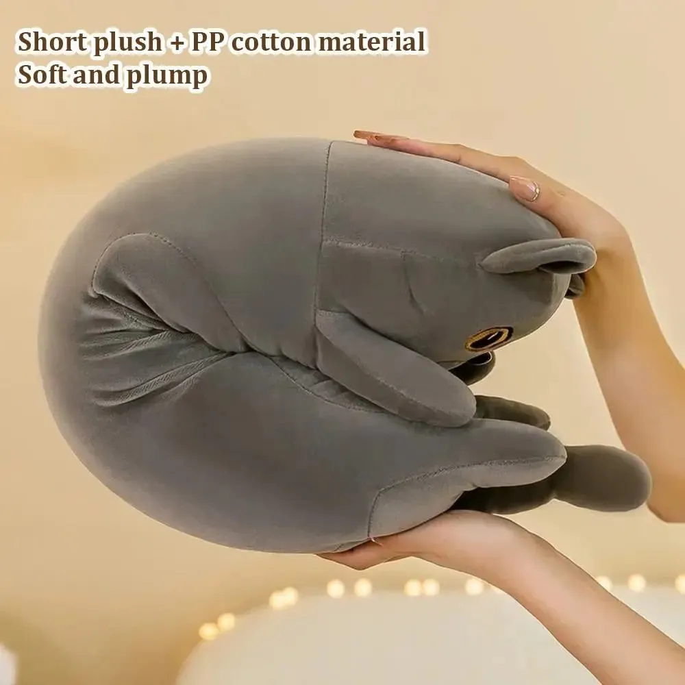 Simpatico peluche per gatti da 50/70 cm Squishy morbido cuscino per dormire Regali di compleanno di animali di peluche adorabili creativi — image 5
