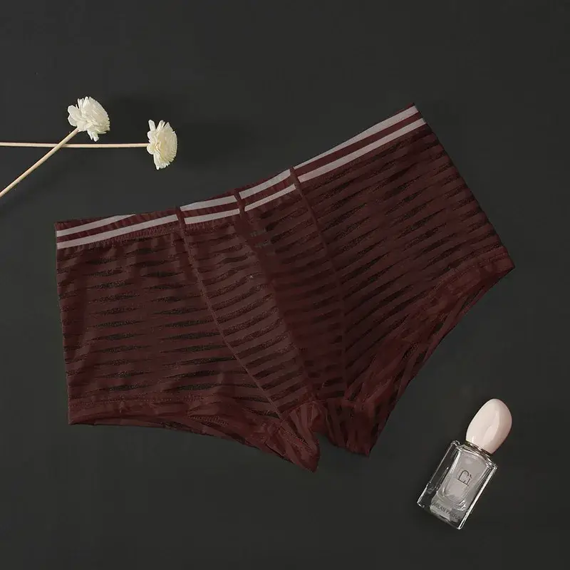 Transparent Underwear Sexy Men Ice Silk Striped Boxer Trunk Breathable Underpants U Convex Pouch Panties Man Boxer Briefs Short — image 17