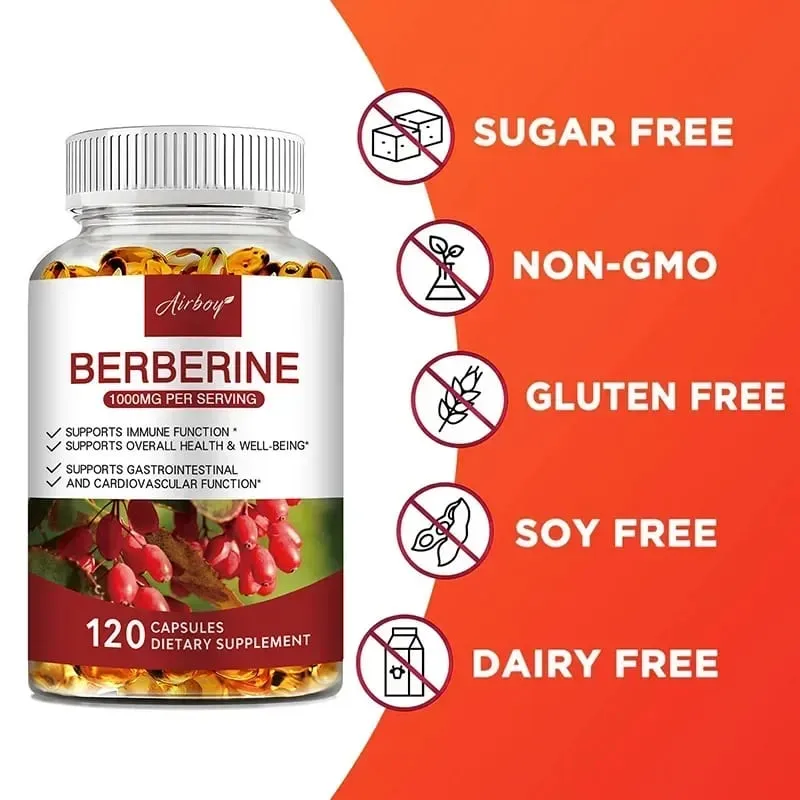 Berberine Capsules - Support Overall Health and Immune Function Promote Digestion Enhance Energy Anti-oxidant and Anti-aging — image 6