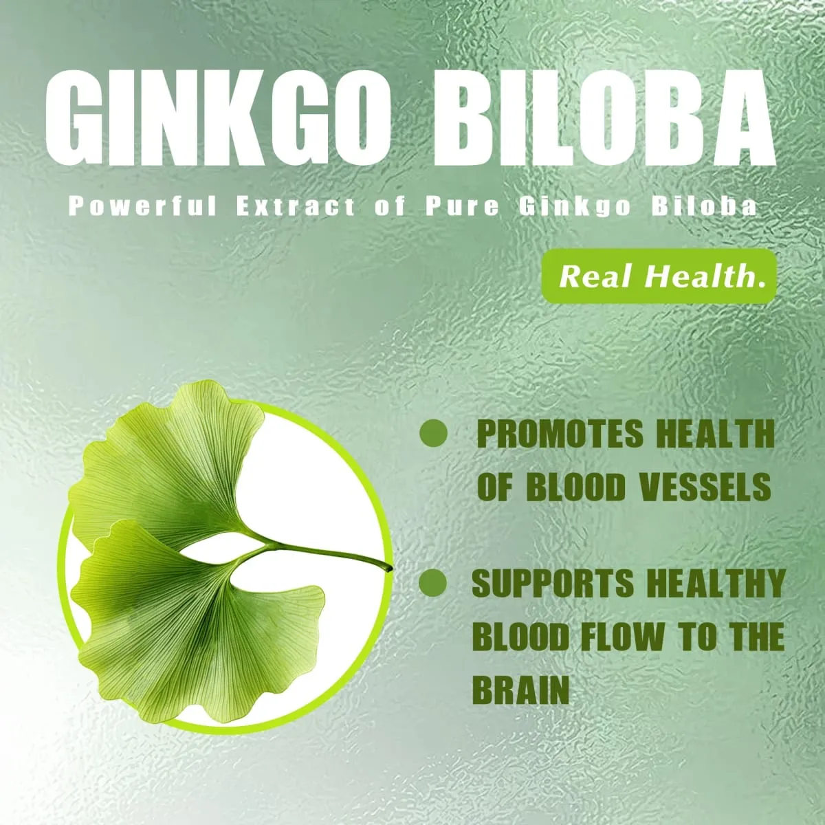 Ginkgo Biloba Capsules - Improve Brain Improving Concentration and Memory Promote Blood Circulation Enhance Cognitive Function