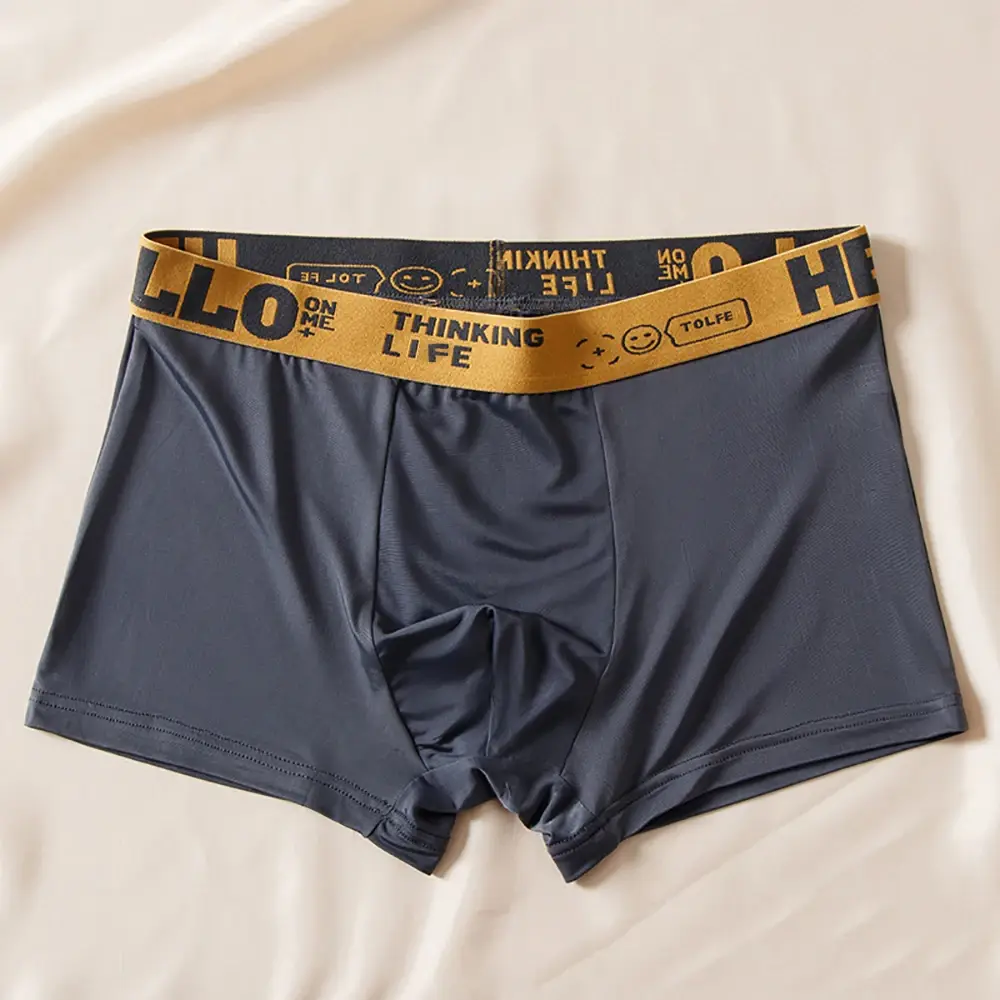 5pcs/set Men Boxer Shorts Ice Silk Men's Underwear Summer Breathable Plus Size Underpants U Convex Lingerie Cool Sexy Panties — image 3