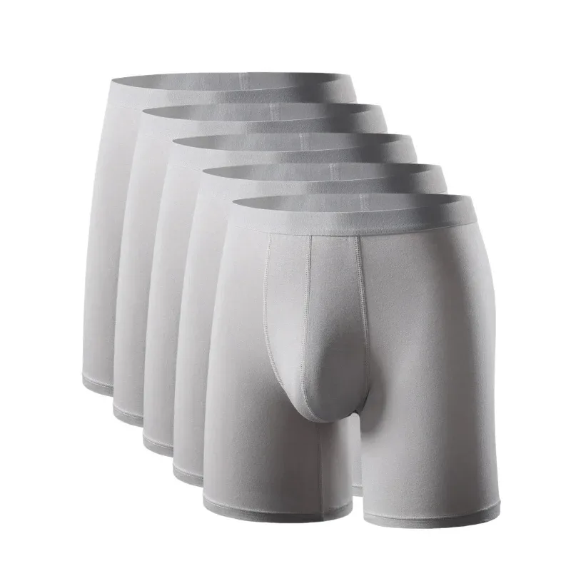 5 Light gray