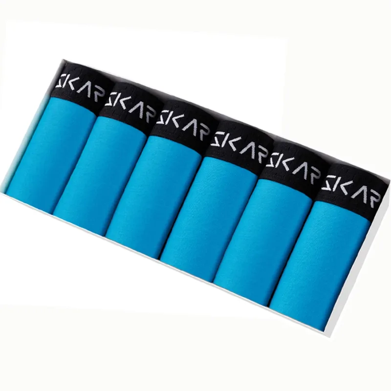 B9 6pcs sky blue