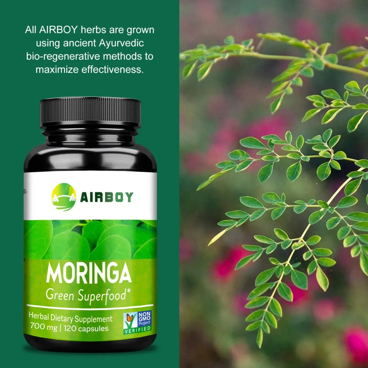 Organic Moringa Capsules - Relieve Joint Pain and Promote Energy Production — image 3