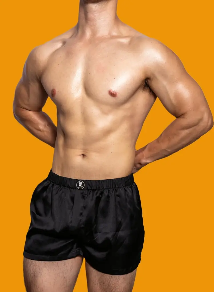 Men's Silk Smooth Sexy Boxers Underwear Low-Rise Lingerie Hot Cueca Masculino Inner Wear Underpants Stretch Loose Fit Sleepwear — image 16