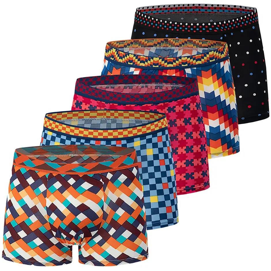 Boxer décontracté à motifs colorés pour hommes, sous-vêtements amples et confortables, surdimensionnés, taille élastique, 4/5 pièces