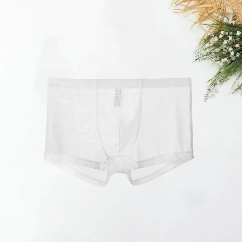 Şeffaf Boksörler Erkekler için Erkek Külot See Through Seksi Örgü Düşük Bel Buz Ipek Ince Soğutma Erkek Külot Erkek iç çamaşırı — image 16