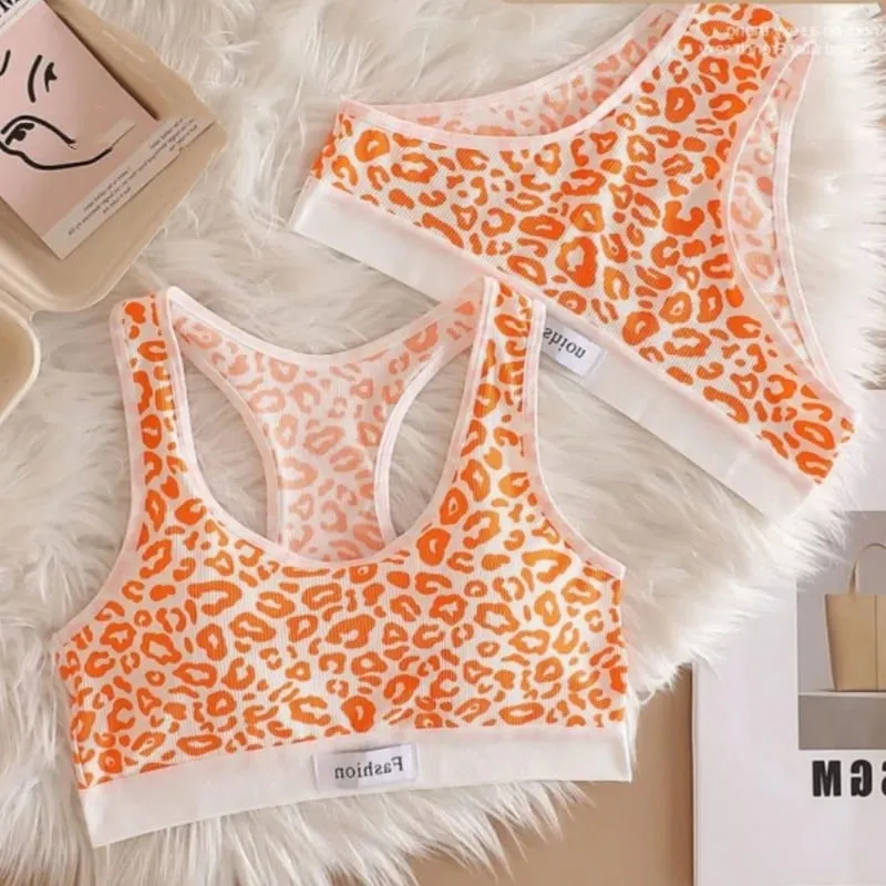 Set Bra Mulus Bra Nirkabel Bentuk Y Macan Tutul Wanita Celana Dalam Pinggang Rendah Pakaian Dalam Seksi Set Pakaian Dalam Wanita Bra Olahraga — image 10
