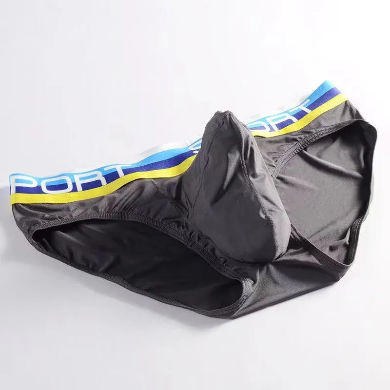 Elephant Nose Sexy Men Underwear U Convex Briefs Pouch Breathable Mesh Sexi Shorts Male Underpants Cueca Gay Penis Silk Summer — image 5