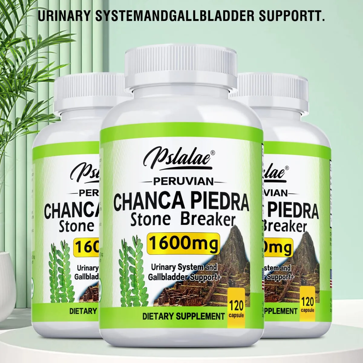 Chanca Piedra 1600mg - Kidney & Bladder Health Cleansing & Detoxification Urinary Support — image 2