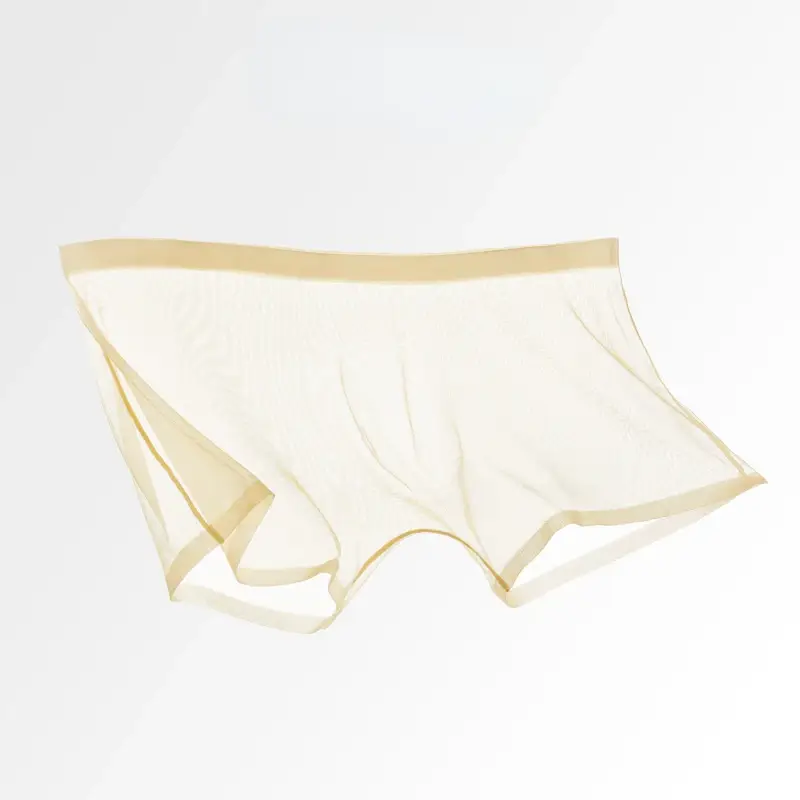 Men's Underwear Transparent Boxers Bulge Ice Silk See Through Underpants Sexy Briefs Low Waist Panties Lingerie Intimates