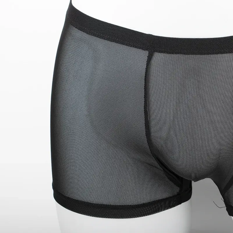 Men's Underwear Transparent Boxers Bulge Ice Silk See Through Underpants Sexy Briefs Low Waist Panties Lingerie Intimates 3256808377911341 — image 4
