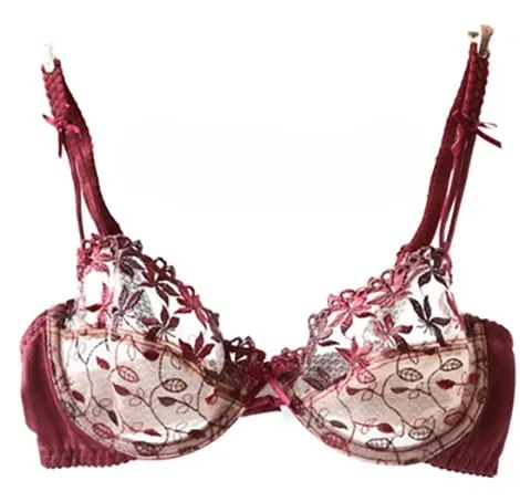 Pure Desire Victoria Thin Bra Set Lace Mesh Red Beautiful Back Sex Underwear Hold Up with Underwire Transparent Bra Woman