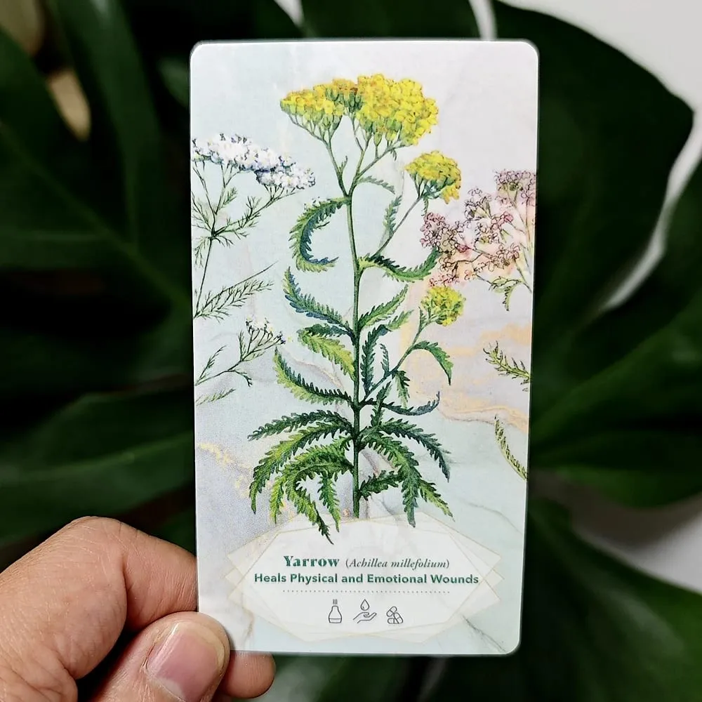 The Essential Oils Healing Deck 52 Cards 11*6cm To Enhance Body Mind & Spirit
