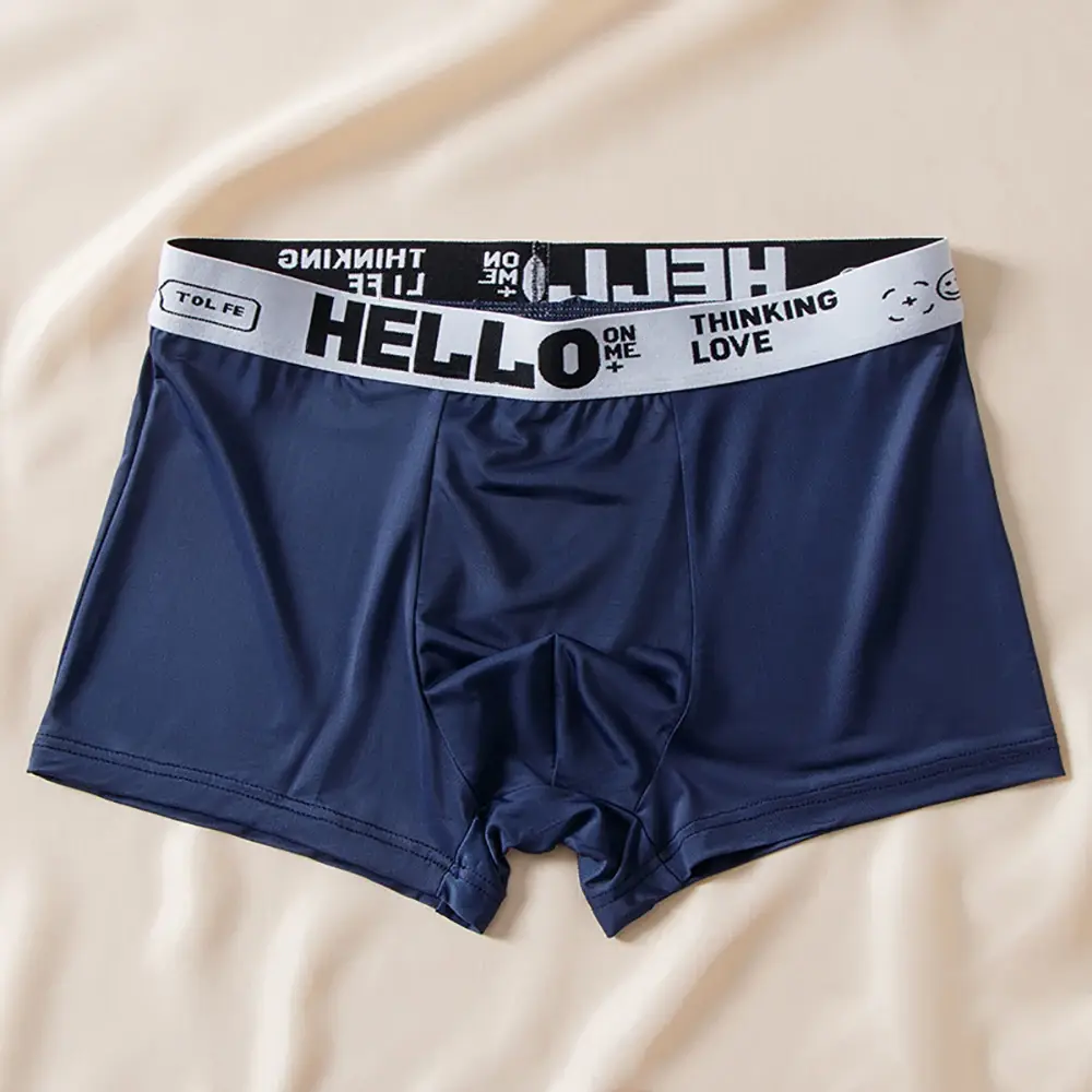 5pcs/set Men Boxer Shorts Ice Silk Men's Underwear Summer Breathable Plus Size Underpants U Convex Lingerie Cool Sexy Panties — image 6