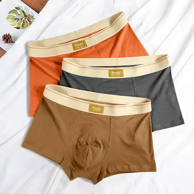 Ropa interior para Hombre, BoxerShorts de algodón, bragas para Hombre, calzoncillos transpirables para Hombre, Boxers deportivos sexis y cómodos para Hombre, talla grande L-7XL