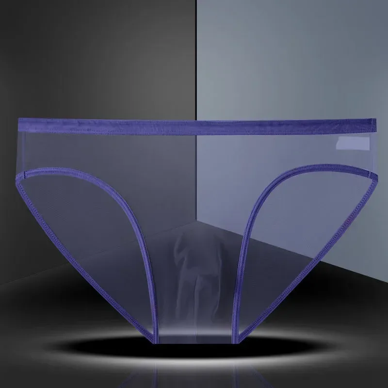 Transparent Underwear Hot Man Pants Ultra-thin Perspective Mid-rise Male Mesh Slips Homme Panties Plus Size
