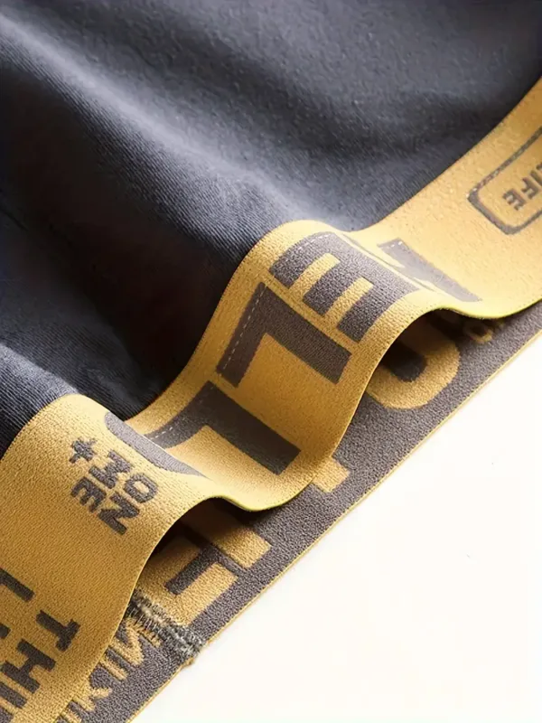 6pcs/set Comfortable Men Panties Fashion Men Underwear Breathable Men's Brierfs Large Size L-4XL Sexy Elastic Men's Underpant