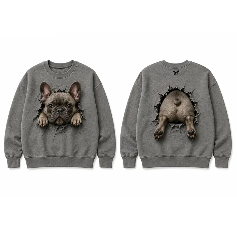 Funny 3D Visual Cat Print Sweatshirt Cute Animal Breaking Through Wall Graphic Pullover Tops Men Casual Long Sleeve Streetwear