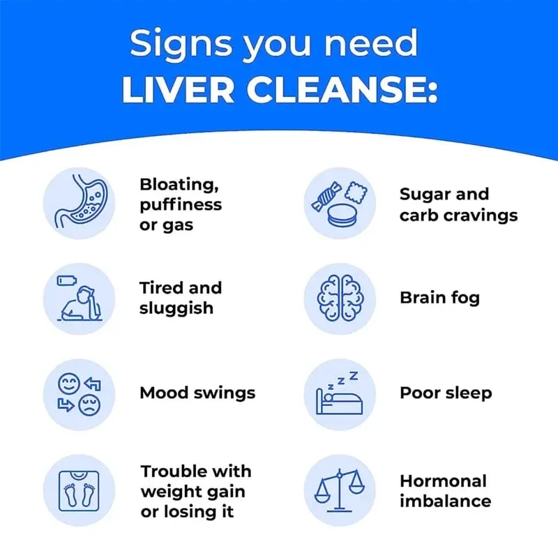 Liver Health Capsules - Contains Artichoke Extract Milk Thistle and Dandelion Root - Promotes Cleansing and Detoxification — image 7