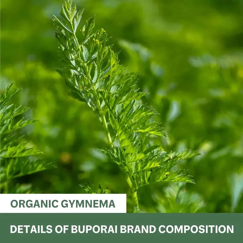 Organic Gymnema - Enhance Pancreatic Function Promote Intestinal Health and Absorption Balance Health Levels Non-GMO — image 3
