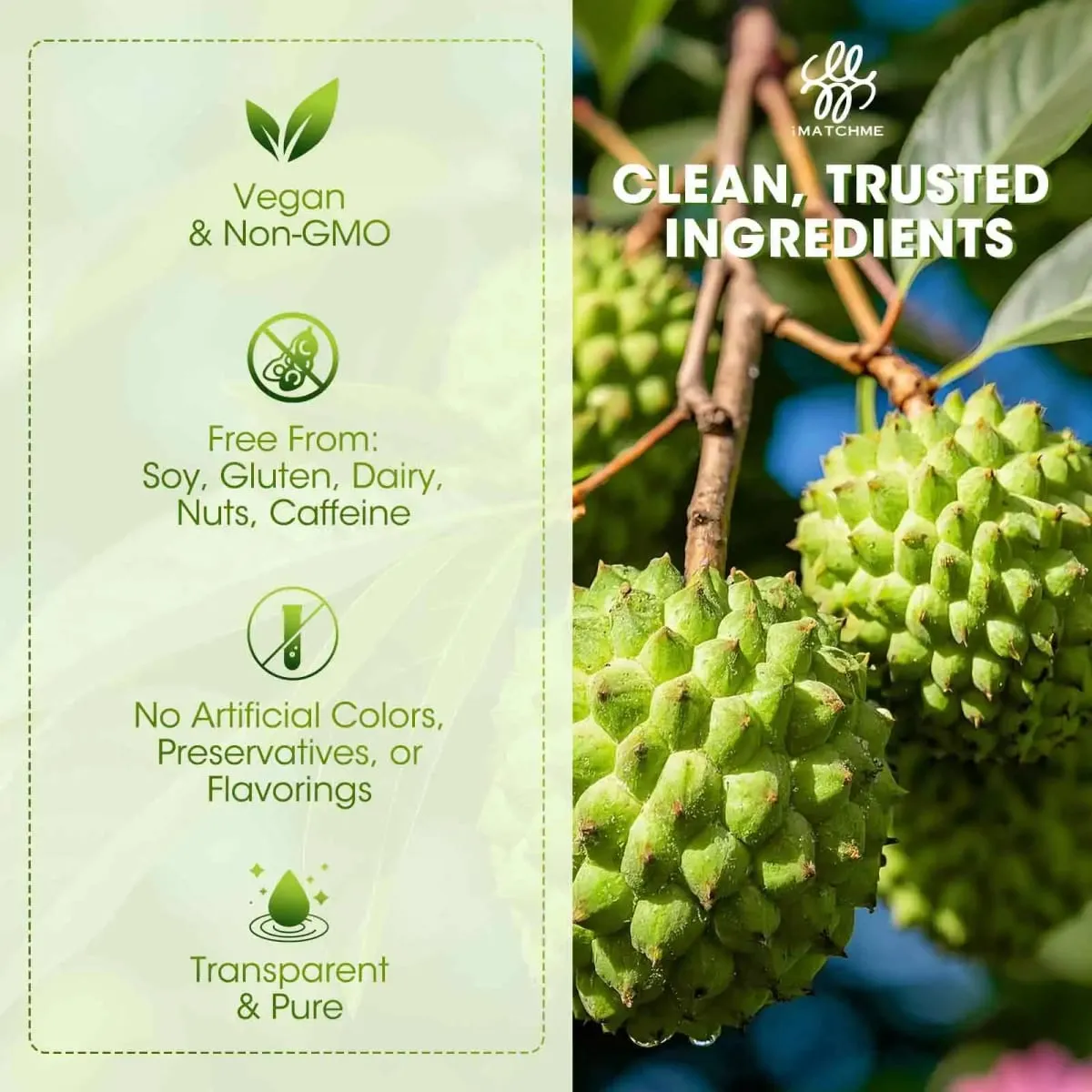 Organic Soursop Graviola Liquid Drops for Natural Antioxidant Cell Support & Regeneration Immune Boost Rich in Multivitamin — image 5