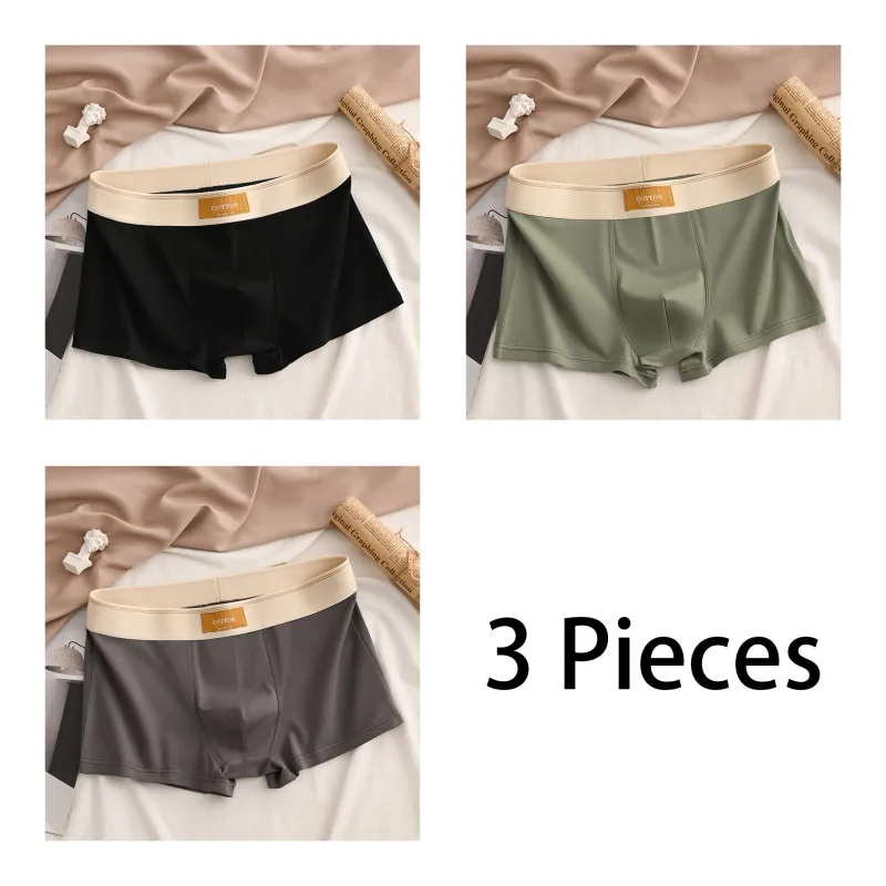 3 pçs de alta qualidade algodão masculino boxer briefs macio saudável casual moda esporte boxers na moda shorts masculinos roupa interior