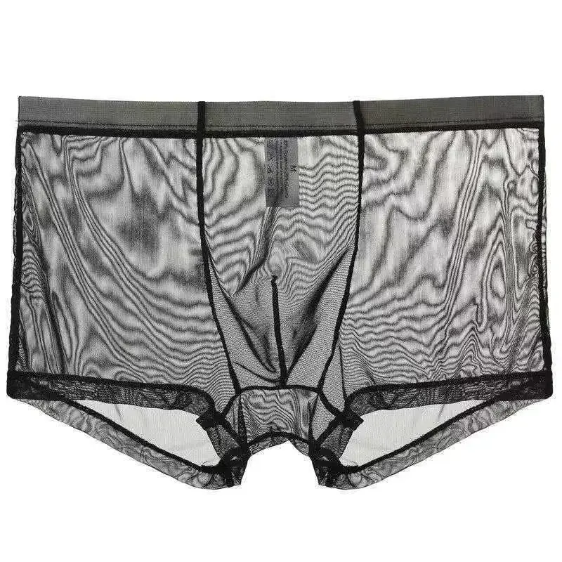 Underwear Transparent Boxers Bulge Ice Silk See Through Underpants Sexy Briefs Low Waist Panties Lingerie Intimates — image 9