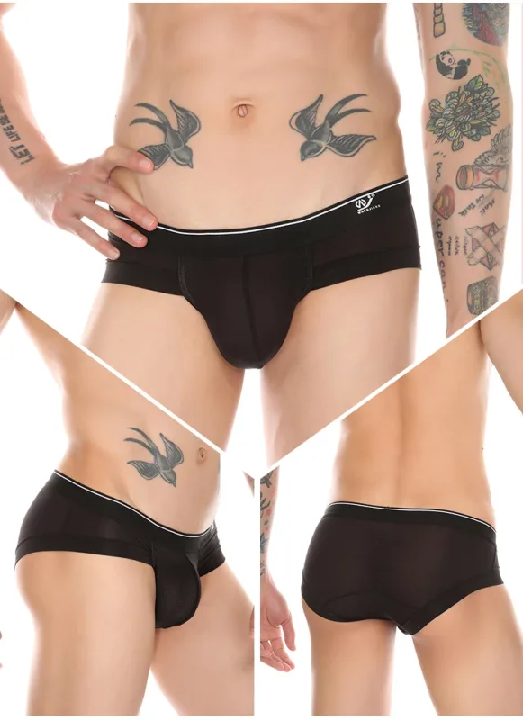 Summer Men's Underwear Boxers Bulge Ice Silk Briefs Ultra-thin Breathable Cool Panties — image 21
