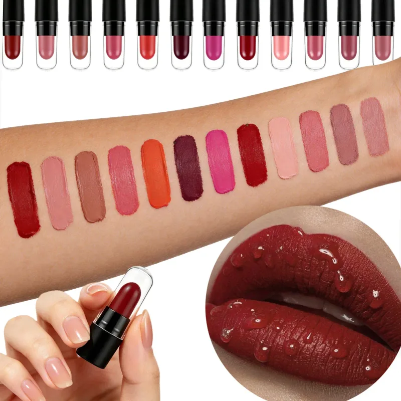 DNM Mini Capsule Lipstick 12 Color Set Matte Waterproof Durable And Not Easy To Stick To Cups Color Rendering Lipstick — image 3