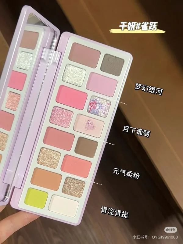 Cheeryep QianYan 16 Colors Eye Shadow Palette Pink Brown Cowboy Blue Smoky Multicolor Matte Pearl Y2K Eye Makeup — image 4
