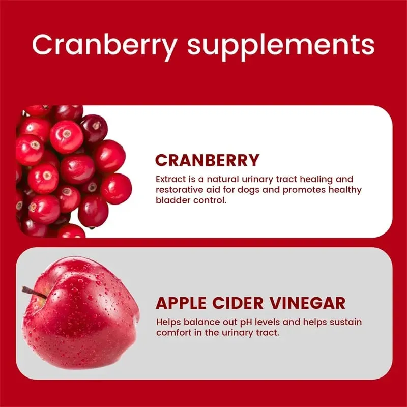 Cranberry for Dogs - Urinary Tract Health Bladder Support Dog UTI Bladder Stones Incontinence Support — image 3