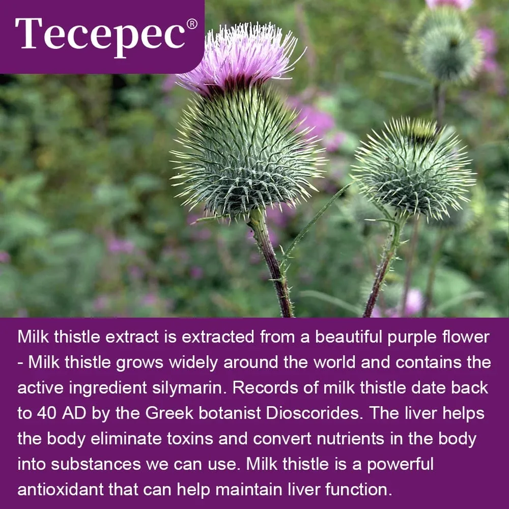 Organic Milk Thistle Extract 12000mg Capsules Liver Digestive Health Supports Liver Function Antioxidant Non-GMO Vegetarian
