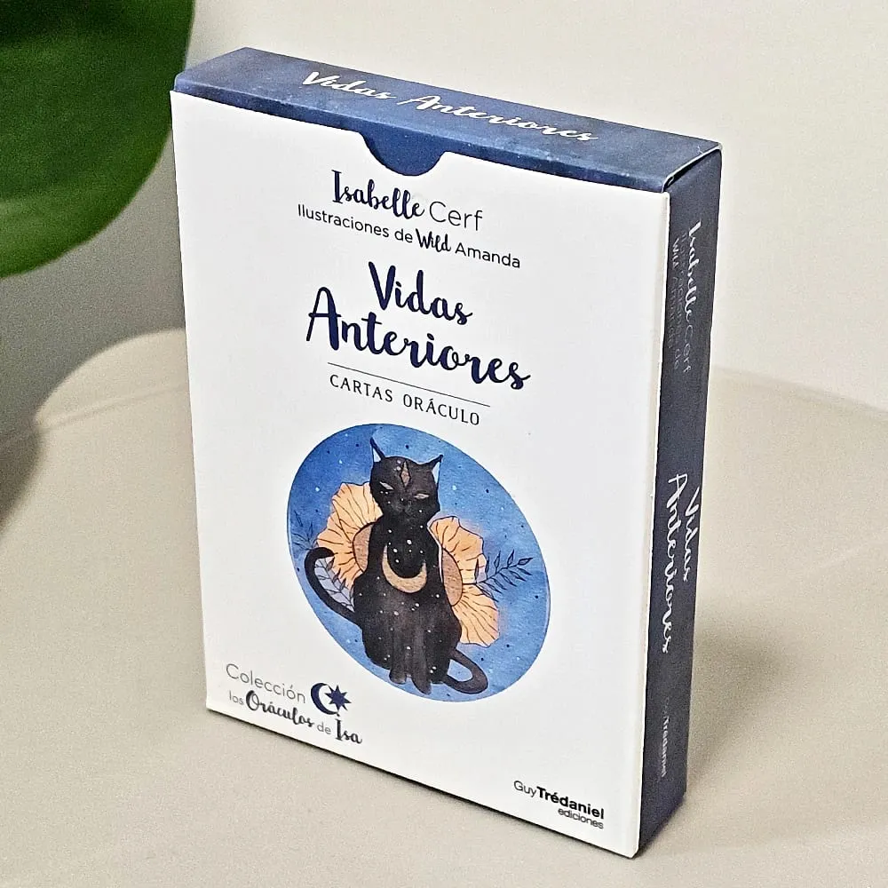 42 Pcs Vidas Anteriores Oracle Cards Spanish Edition Past Lives Deck for Karma Soul Healing 10.5*7.5cm Double-Sided Embossed