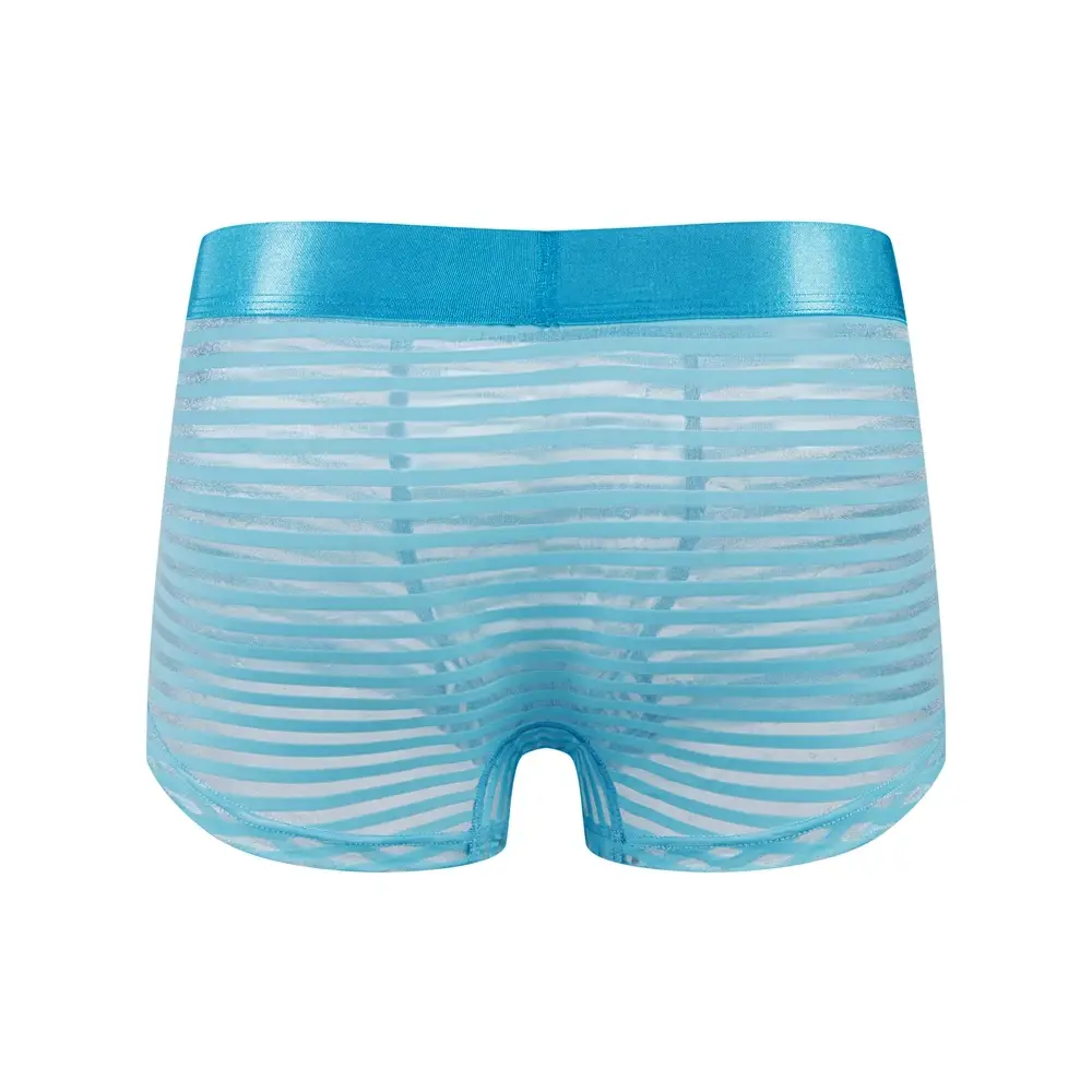 Sexy Men Underwear Boxer Shorts Transparent Mesh Underpants Trunks Men Panties Low Waist Nylon Breathable Quick Drying — image 10