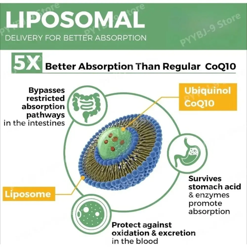 CoQ10 Ubiquinol 1000mg Vegan Softgels 60 Ct Liposomal High Absorption Coenzym Q10 for Hjerteenergi Antioxidant Daglig støtte — image 4