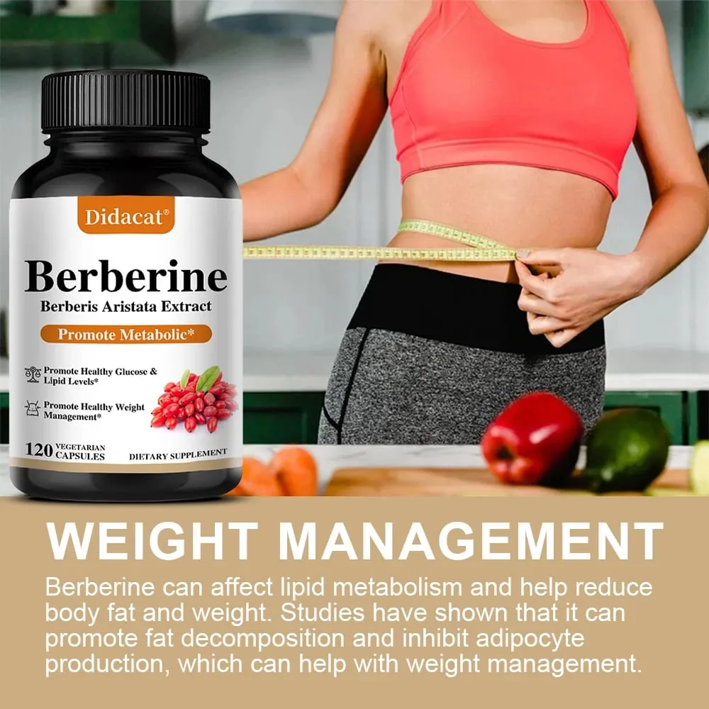 Berberine 500 Mg Dietary Supplement - Metabolism Healthy Weight Management Circulatory Health Blood Lipids Blood Sugar — image 6