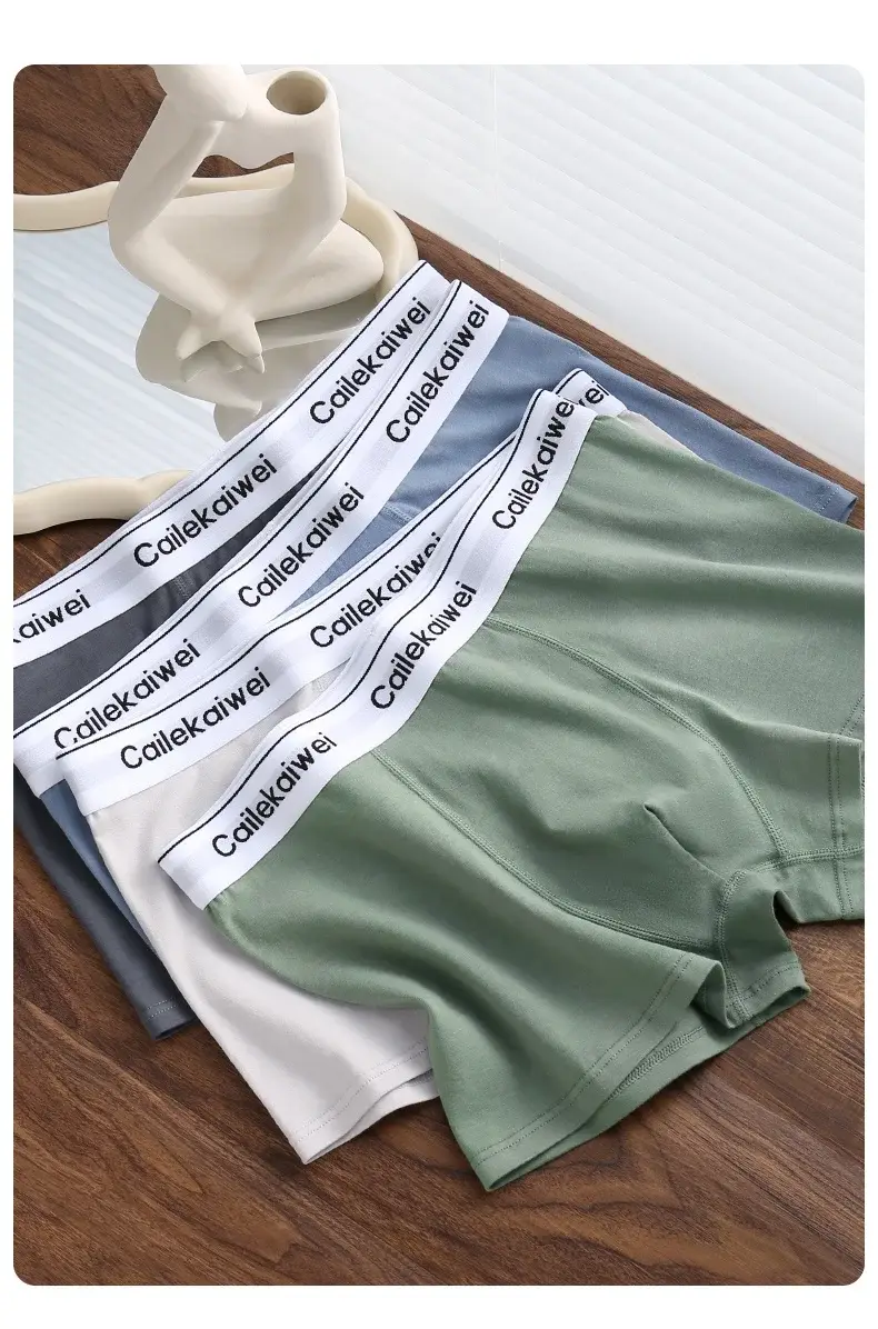 5 pçs boxer shorts roupa interior masculina sexy calcinha de algodão puro sólida elasticidade homem cuecas boxers masculinos homme u lingerie convexa — image 1