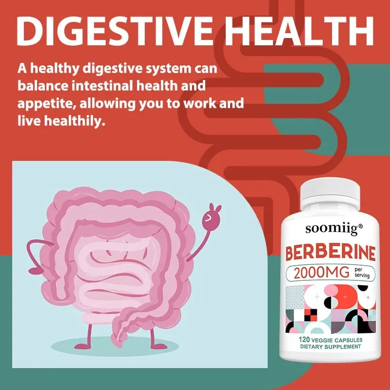 Berberine Extract Supplement - Immune System Support Healthy Gastrointestinal Tract Heart Health - 120 Capsules — image 4