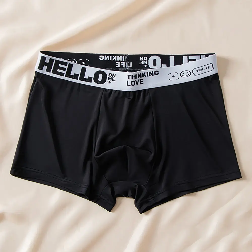 5pcs/set Men Boxer Shorts Ice Silk Men's Underwear Summer Breathable Plus Size Underpants U Convex Lingerie Cool Sexy Panties — image 2