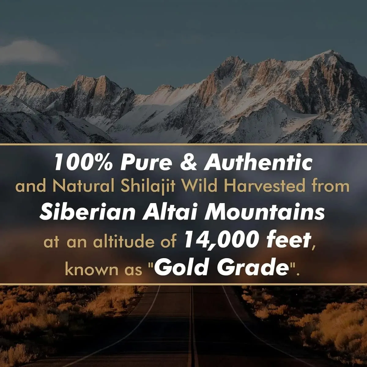 Original Siberian Pure Shilajit with Fulvic Acid & Trace Minerals & 85+ Humic Acid Supplement Gel for Energy & Immune System — image 5