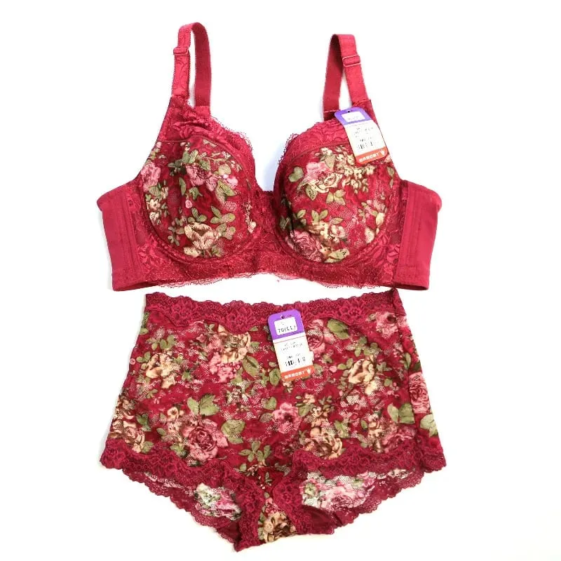 Women's Bra Set Sexy Lace Printed Embroidery Plus Size Full Cup Female Lingerie Suit 34 36 - 48 B C D E F — image 4