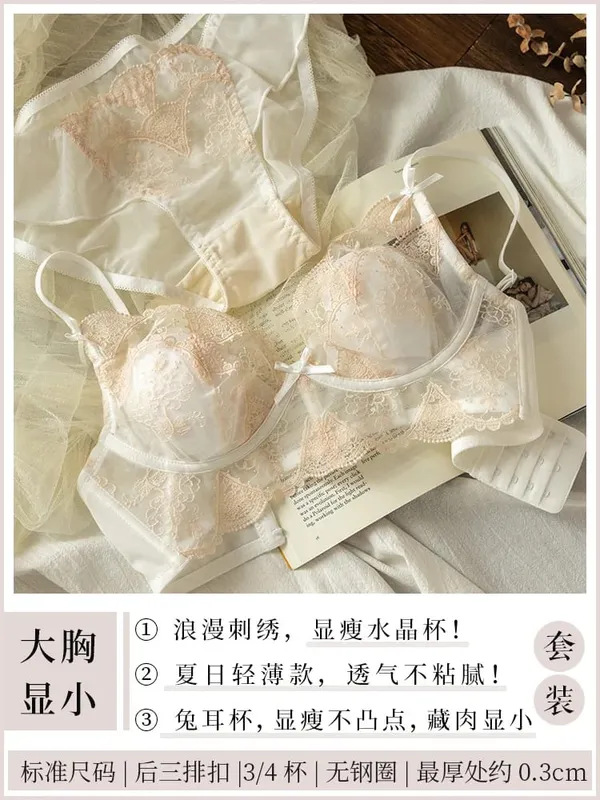 French Lace Lingerie Set Women Wirefree Minimizer Support Summer Ultra Thin Bra Large Chest Petite Look Bunny Ears — image 12