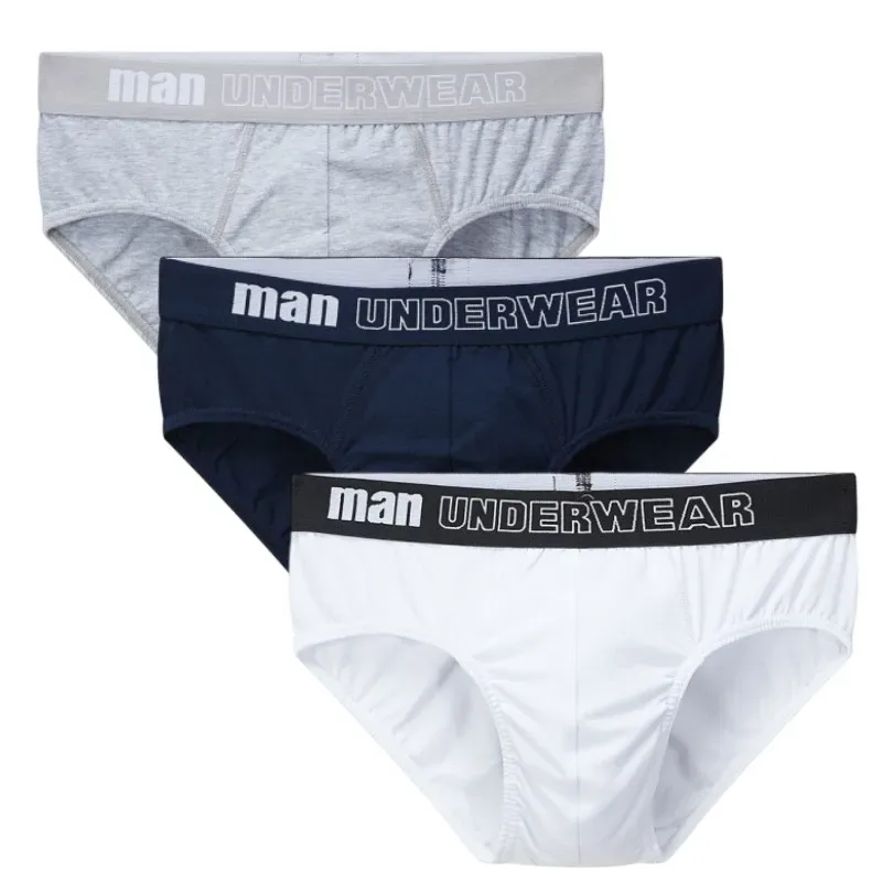3Pcs Men's Panties Cotton Briefs Boxers Shorts Mens Underwear Breathable Comfortable Slip Underpants Classic Sexy Men Underwear
