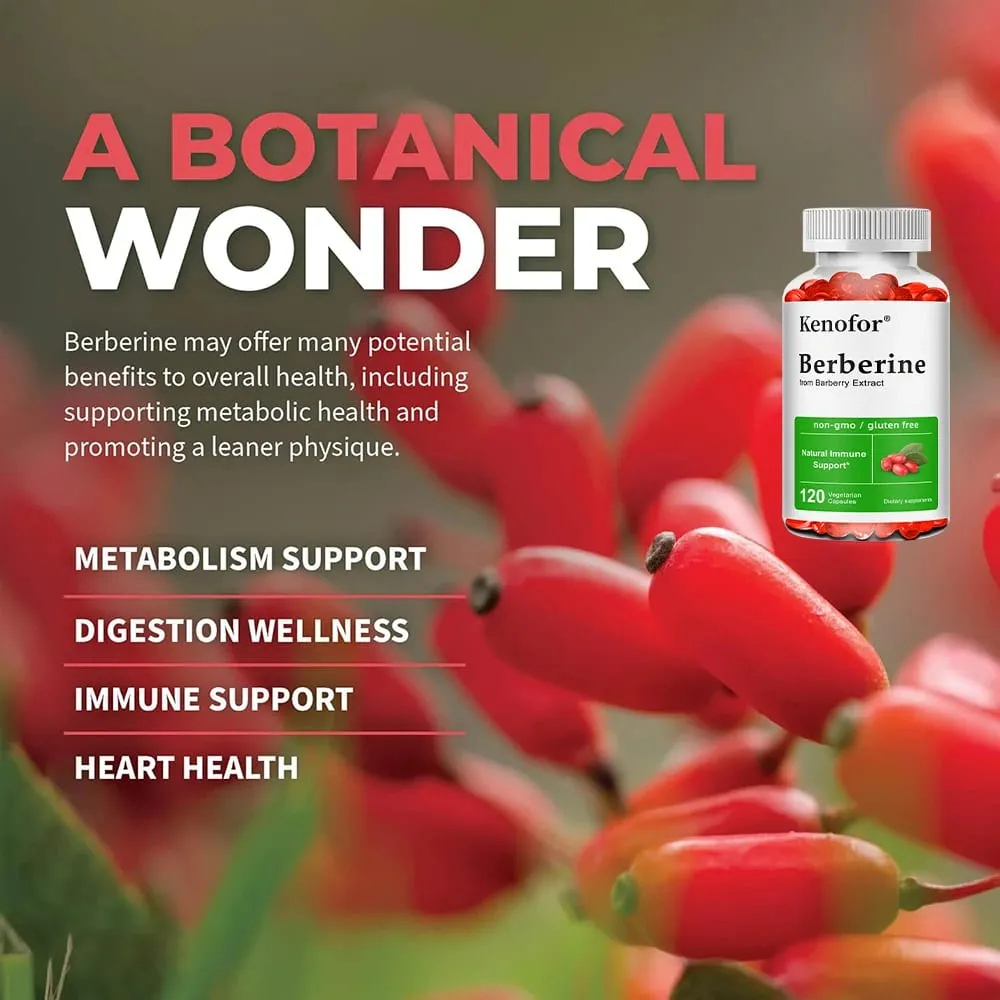 Premium Berberine Supplement Capsules - Supports Immune System Healthy Food Antioxidant NON-GMO — image 3