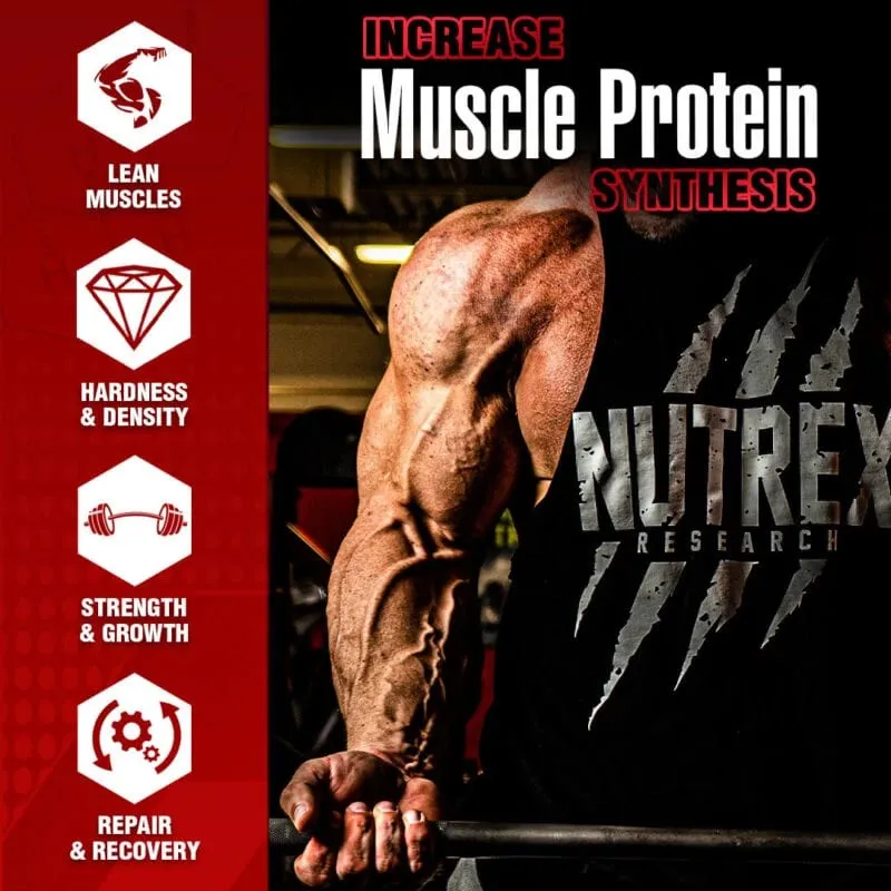 Anabol Hardcore - Muscle Supplement Dietary Capsules Lean Muscles Strength Growth Repair Recovery 6-Keto-Diosgenin Acetate
