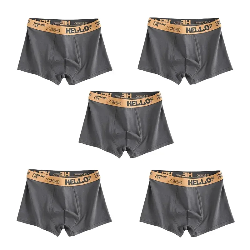 5pc Grey blue