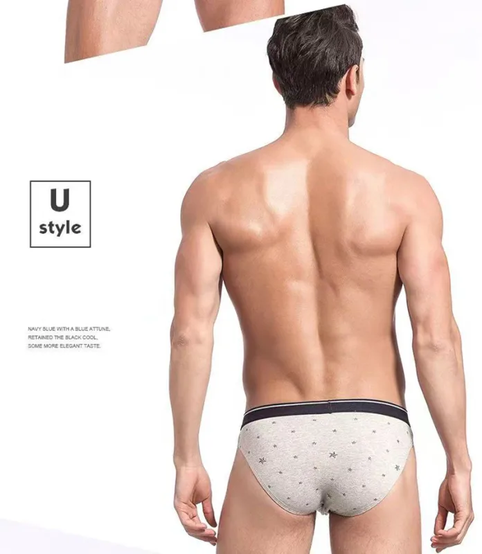 4Pcs/lot Cotton Briefs Men's Sexy Underwear Comfortable Underpants Breathable Panties Solid Shorts Male Lingerie Free Shipping — image 19
