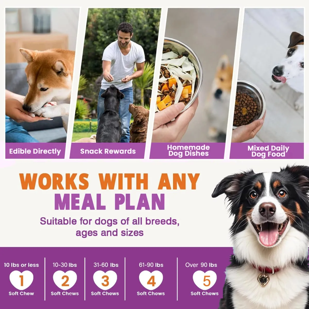 Kıdemli ve Yavru Köpek Multivitamin Takviyesi Çoklu Vitaminler Tavuk Aromalı Evcil Hayvan Eklem Bağışıklığı Hareketlilik Enerji Bağırsak Cilt için Çiğneme